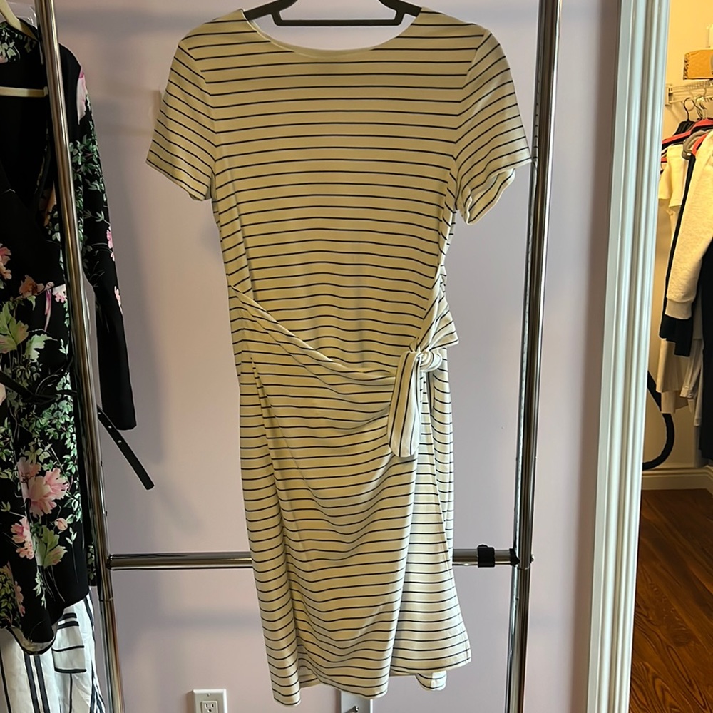 Ann Taylor dress